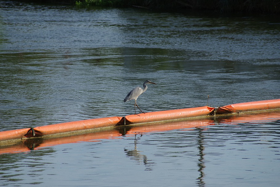 Прикрепленное изображение: IMGP6761.JPG