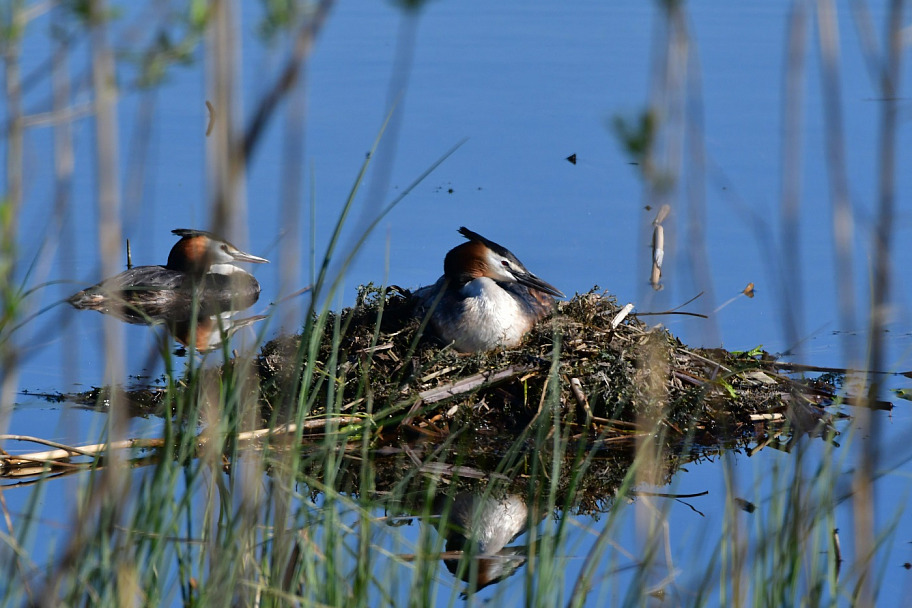 Прикрепленное изображение: DSC_2284.JPG