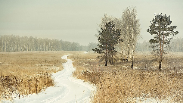 Прикрепленное изображение