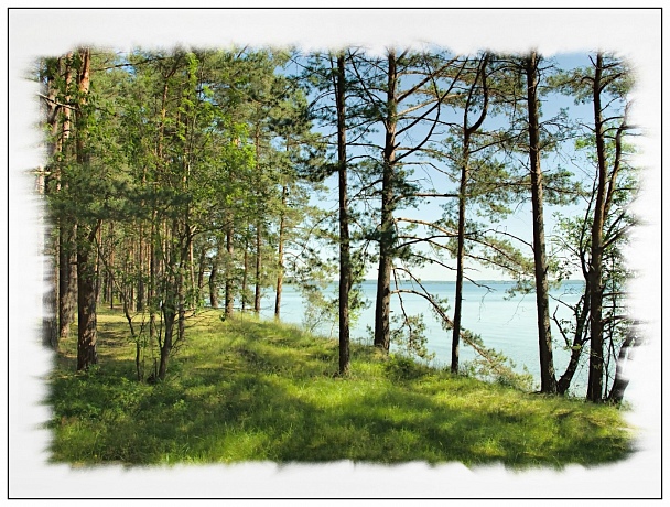 Прикрепленное изображение: IMGP3748вэб.jpg