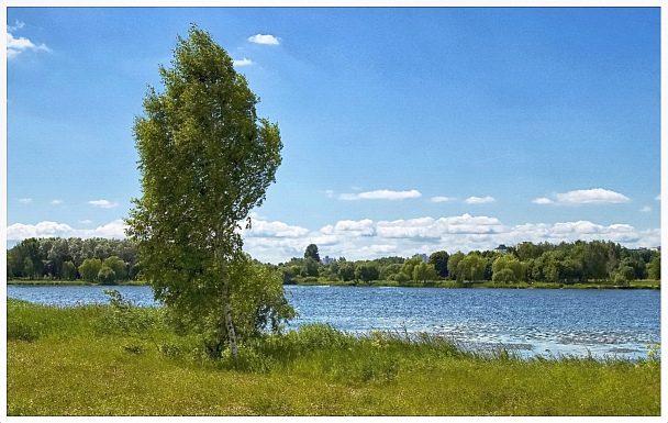 Прикрепленное изображение: IMGP4522вэб.jpg