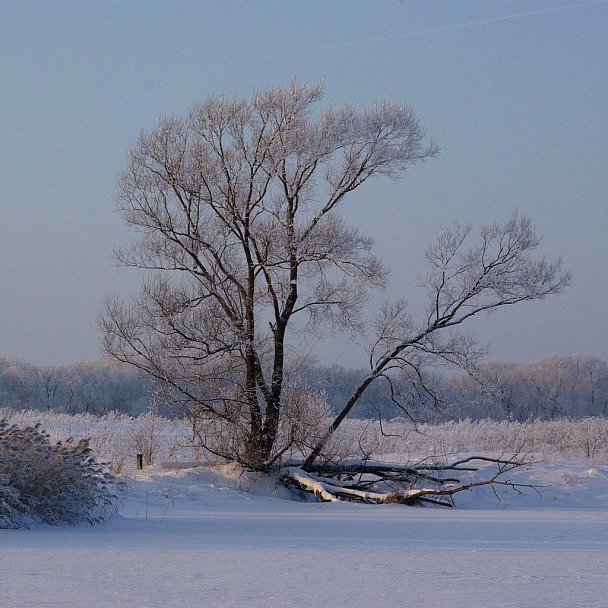 Прикрепленное изображение: IMGP7650.jpg