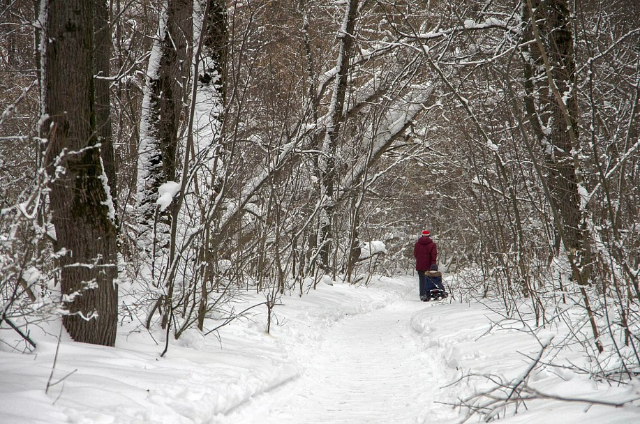 Прикрепленное изображение: IMGP2116.jpg