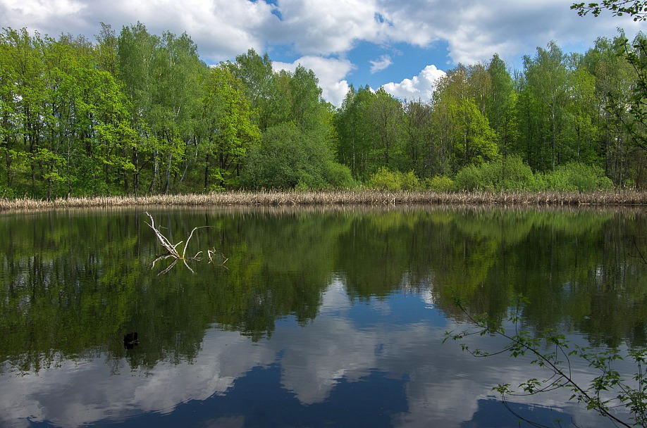 Прикрепленное изображение: IMGP2523.jpg