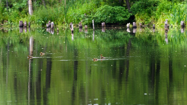 Прикрепленное изображение: IMGP1554.jpg