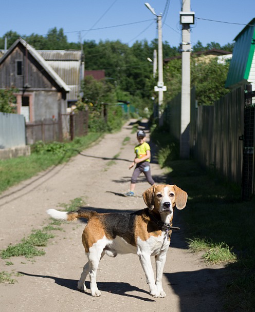 Прикрепленное изображение: IMGP2990.jpg