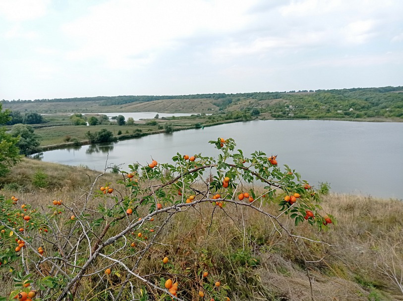 Прикрепленное изображение: IMG_20210731_084718 — копия.jpg
