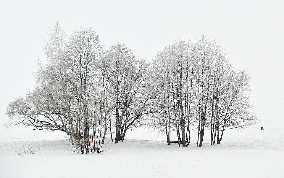 Прикрепленное изображение: 19_0203_0928_2.jpg