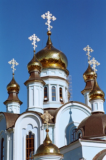 Прикрепленное изображение: 10850012.JPG