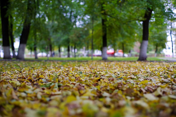Прикрепленное изображение: IMGP0460.jpg