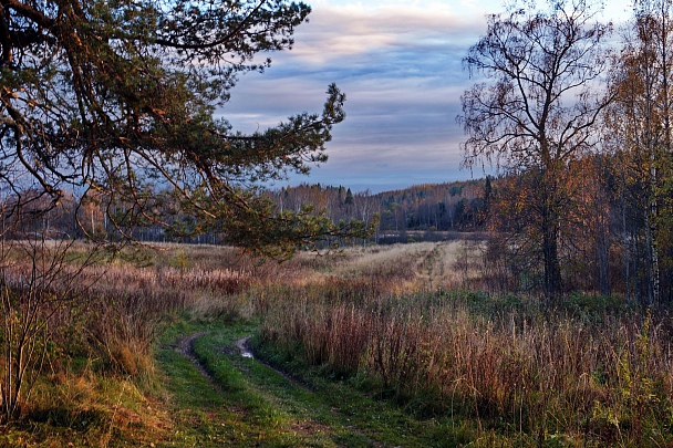 Прикрепленное изображение: DSC00723 пр.jpg