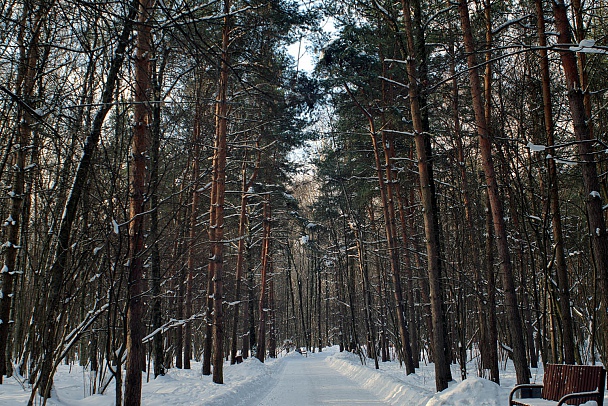 Прикрепленное изображение