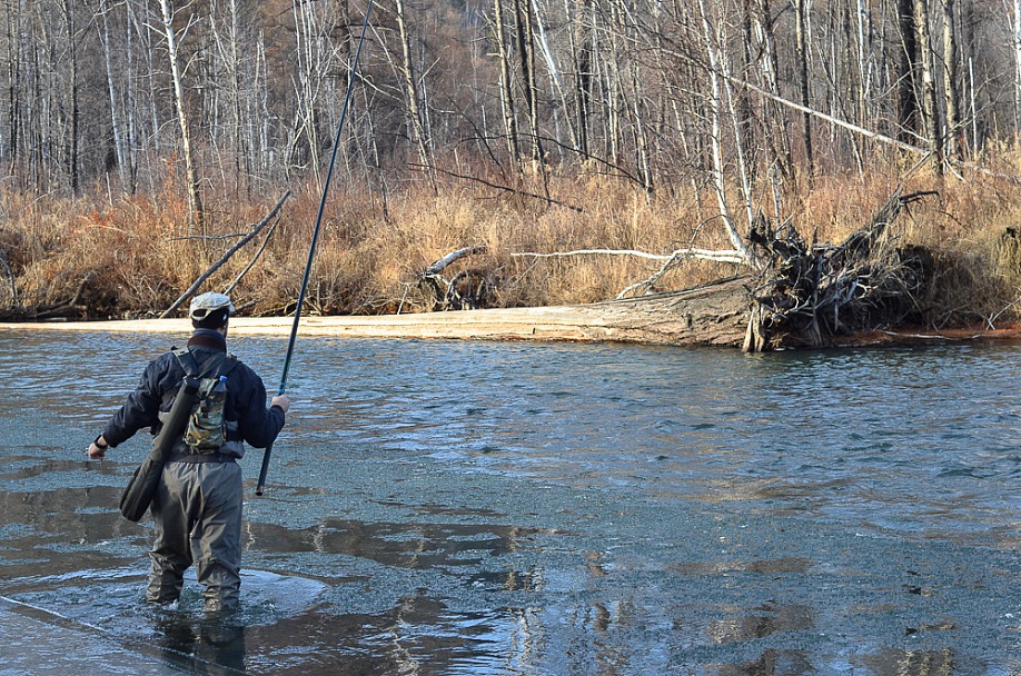 Прикрепленное изображение: DSC_1755.jpg