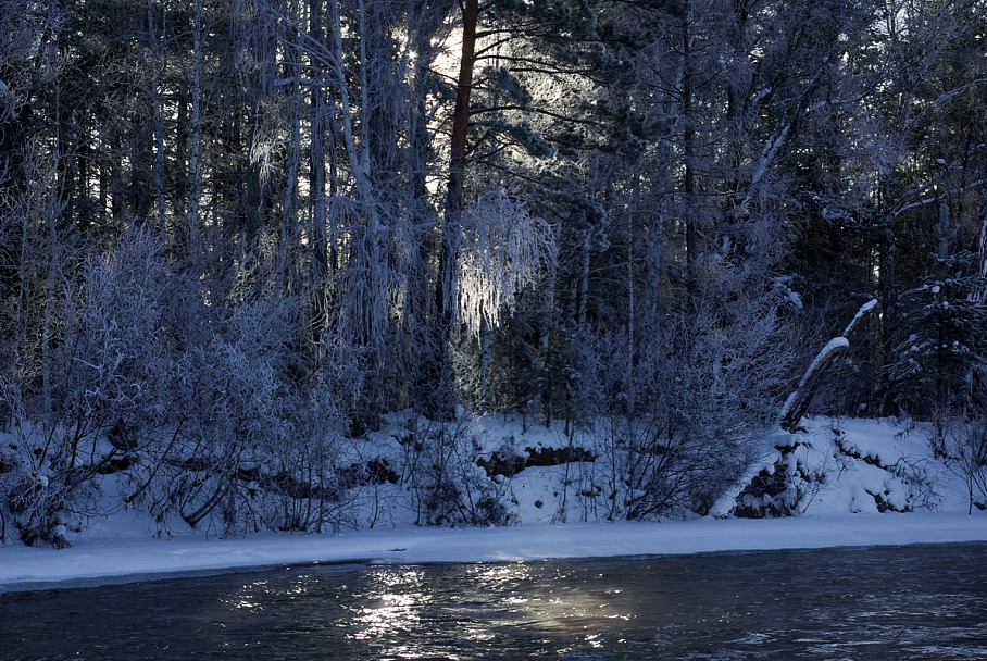 Прикрепленное изображение: 20191214-IMGP9127.jpg