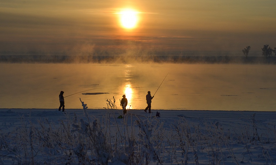 Прикрепленное изображение: DSC_1849.jpg