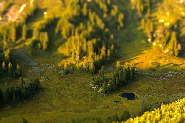 Прикрепленное изображение: IMGP5488-tiltshift.jpg