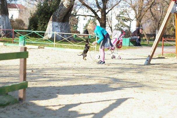 Прикрепленное изображение