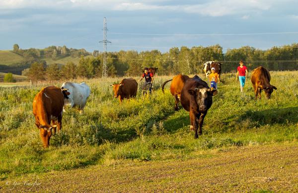 Прикрепленное изображение: 20120613-IMGP2030.jpg