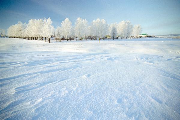 Прикрепленное изображение: 20110101-Scan-111230-0011.jpg