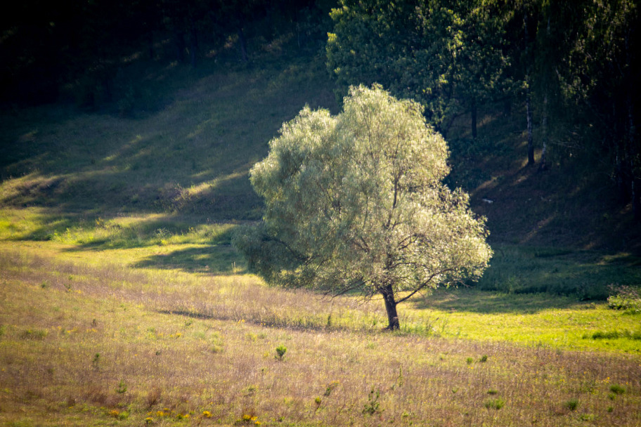 Прикрепленное изображение: IMGP0705.jpg