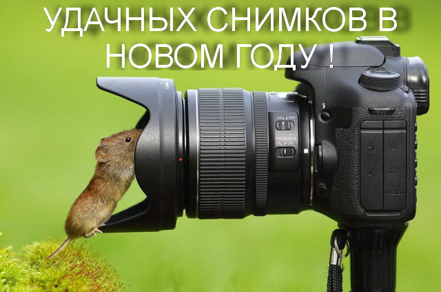 Прикрепленное изображение: Удачи &#33;.jpg