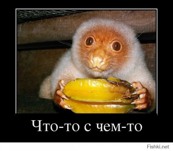 Прикрепленное изображение: 7743d0b302276c8a25a2c1abf0f2dcb3.jpg