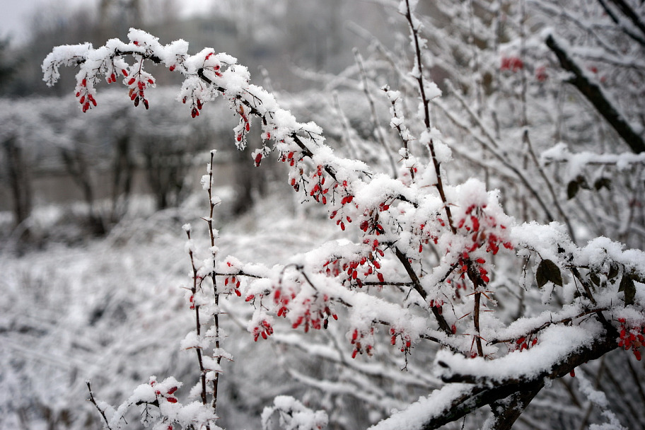 Прикрепленное изображение: DSC04581_lt.jpg