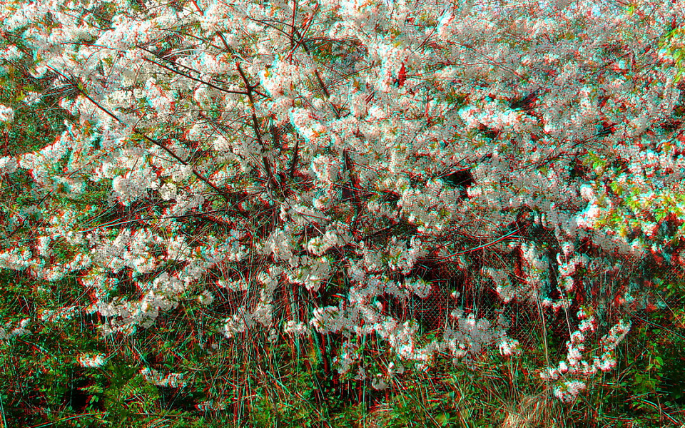 Прикрепленное изображение: DSCF3389_pc.jpg