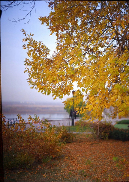 Прикрепленное изображение: фкд_.jpg