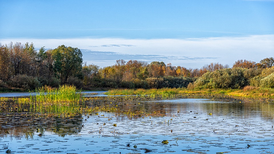 Прикрепленное изображение: IMGP3760-2.jpg