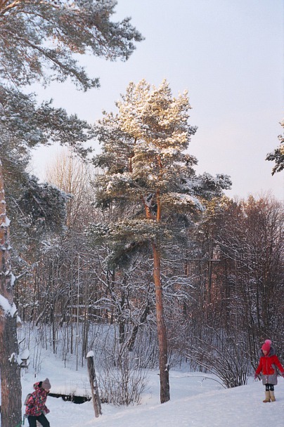 Прикрепленное изображение: Горка_.jpg