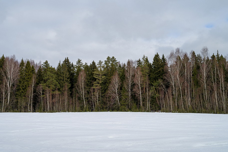 Прикрепленное изображение: DSC_3300ё.JPG