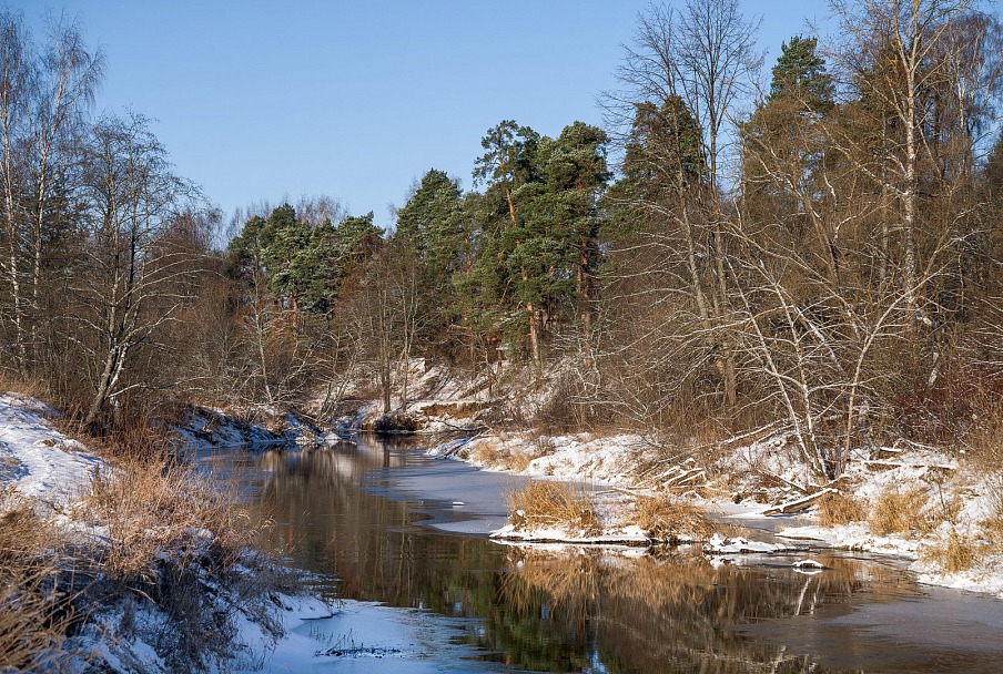 Прикрепленное изображение: DSC_5596ё.JPG