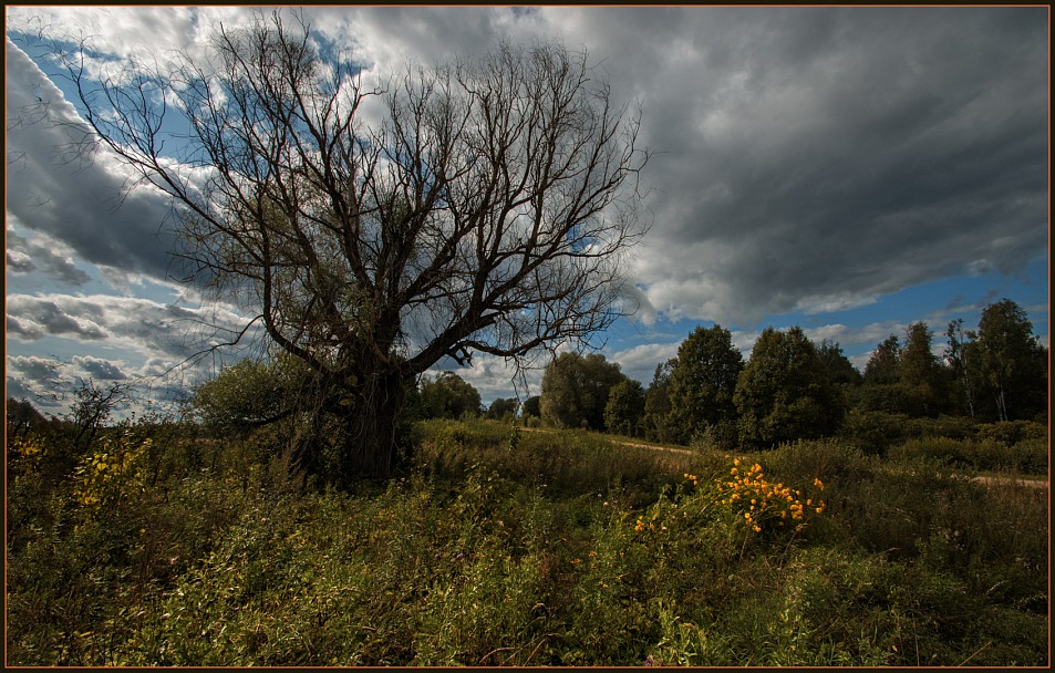 Прикрепленное изображение: IMGP2626-копия.jpg