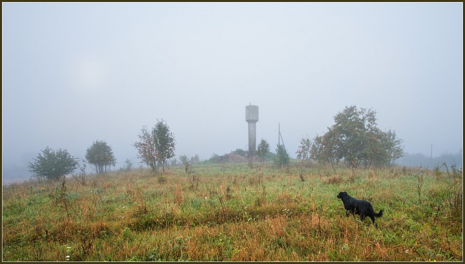 Прикрепленное изображение: IMGP2803-копия.jpg