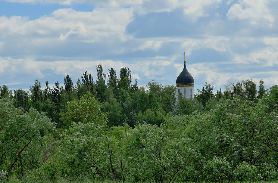 Прикрепленное изображение: DSCF3287_.jpg