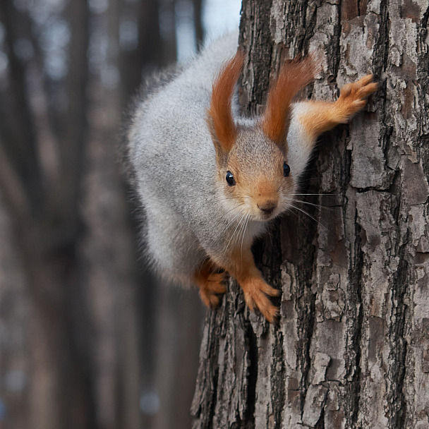 Прикрепленное изображение: IMGP8069.jpg
