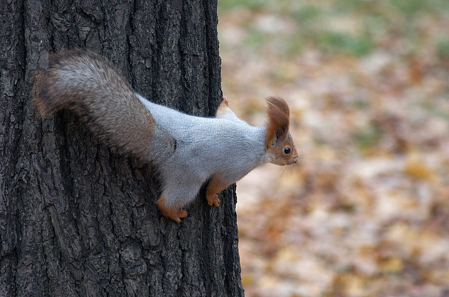 Прикрепленное изображение: IMGP7608.jpg