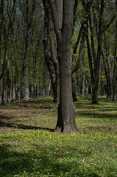 Прикрепленное изображение: LefPark2021.jpg