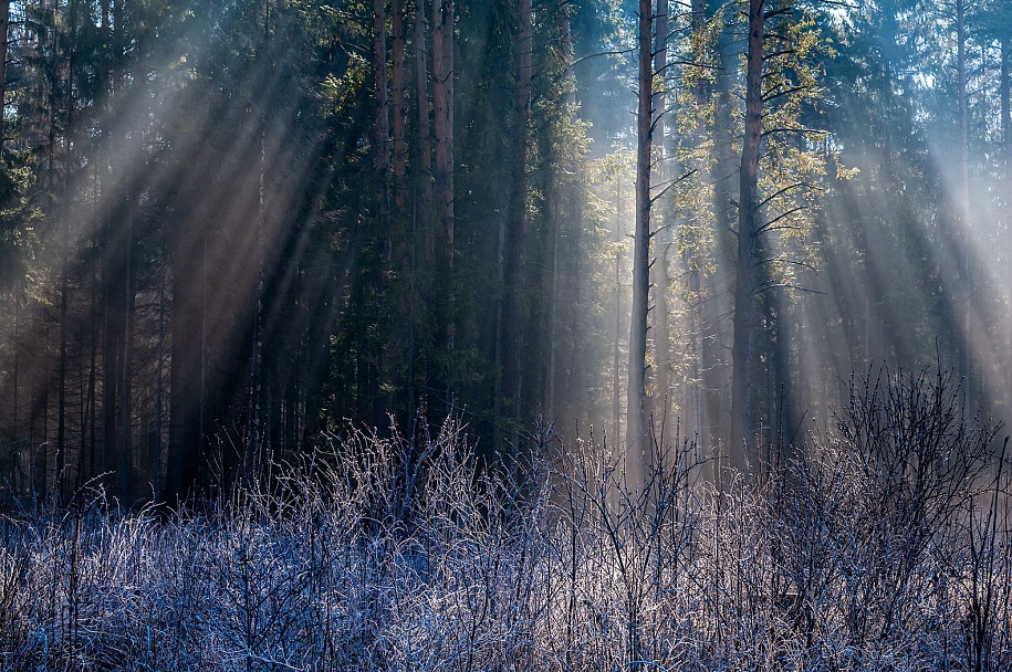 Прикрепленное изображение