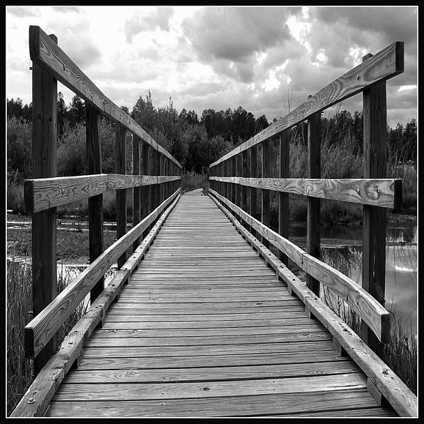 Прикрепленное изображение: c_IMGP8995.jpg
