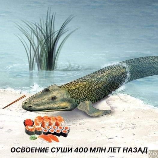 Прикрепленное изображение: q12.jpg