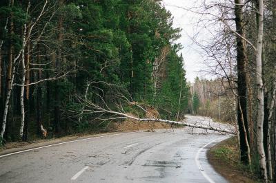 Прикрепленное изображение: 15840025.jpg