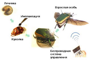 Прикрепленное изображение: 1235988878_3.jpg