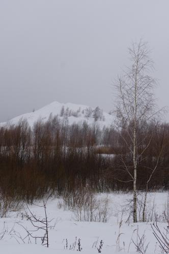 Прикрепленное изображение: 2013-02-09--12-17-14.jpg