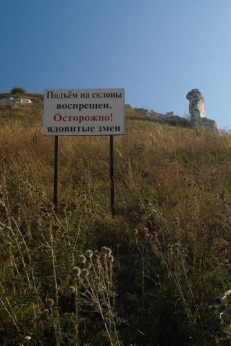 Прикрепленное изображение: d(0).jpg