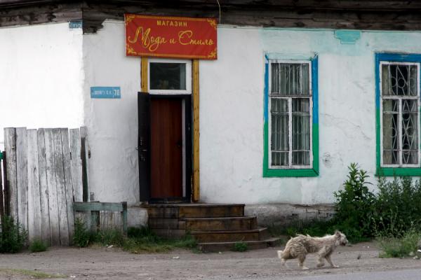 Прикрепленное изображение: IMGP0550_900px.jpg