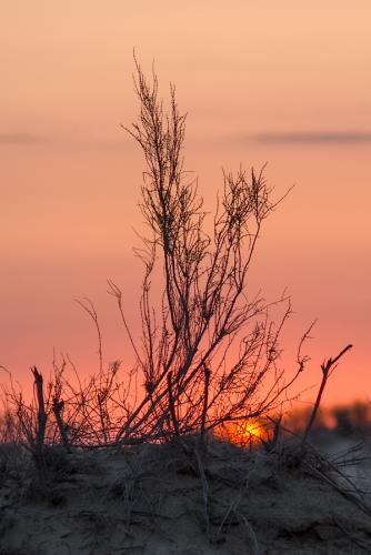 Прикрепленное изображение: a2012-04-09--05-34-42.jpg