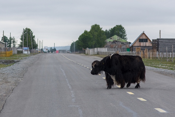 Прикрепленное изображение: 2014-08-19 05-29-13_1200px.jpg