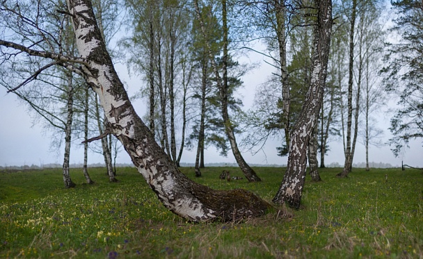 Прикрепленное изображение: 2016-05-15-07h04m01-SG1S1070 Panorama V.jpg
